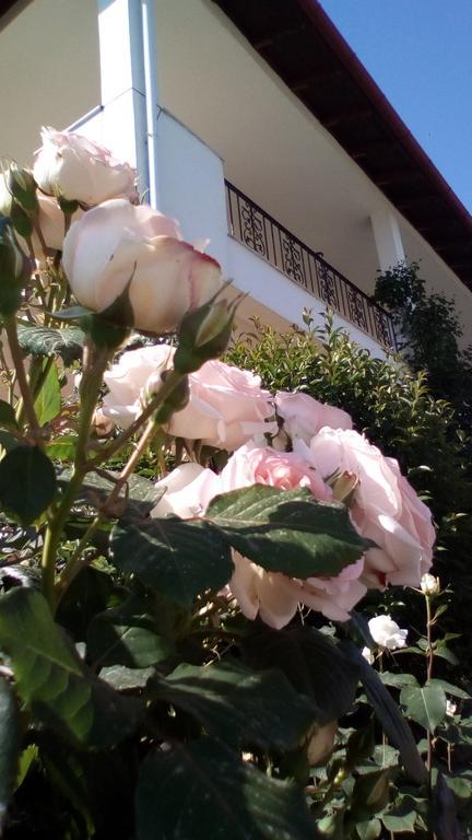 Hotel Archontiko Dimitra Vergina Dış mekan fotoğraf